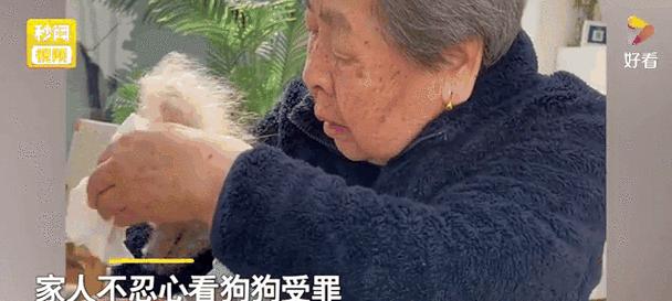 关于狗的安乐死（给予狗以尊严的离别方式）