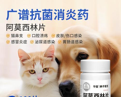 如何有效治疗感冒的狗狗？（药物治疗和其他措施）