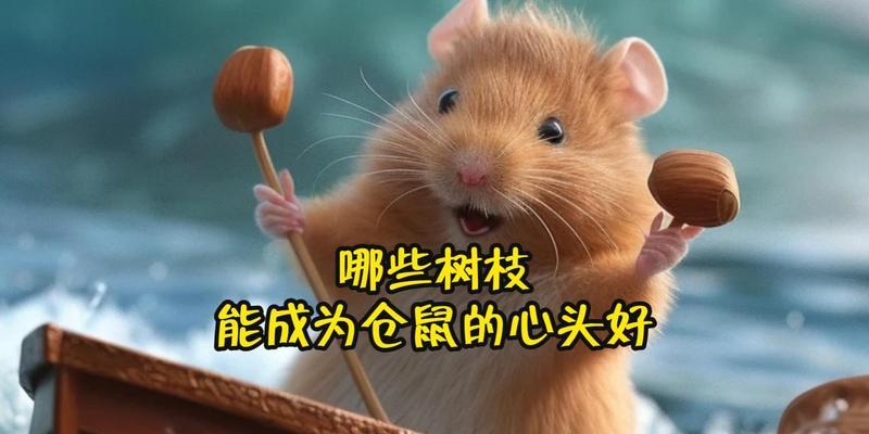 仓鼠磨牙的重要性及适用工具选择