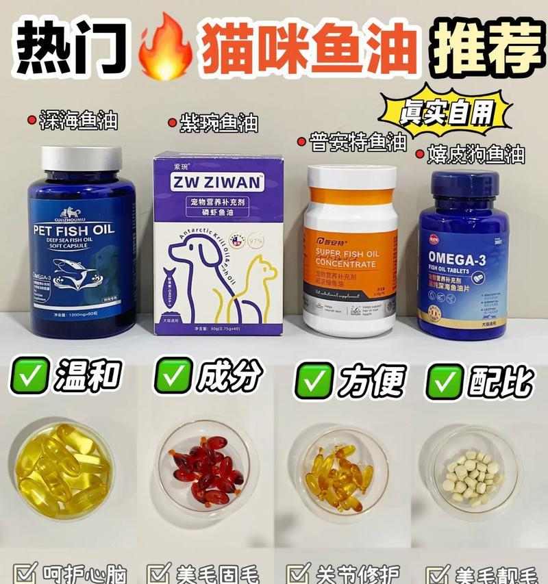 如何让猫爆毛问题迎刃而解？（探讨猫咪的饮食调理与护理方法）