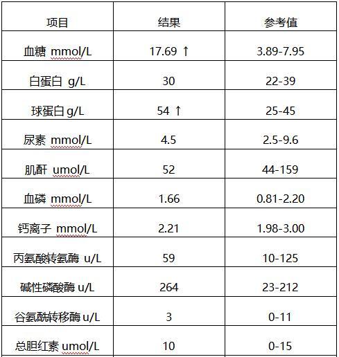 狗狗淀粉酶高的饮食选择（让你的爱犬吃得健康又营养，）