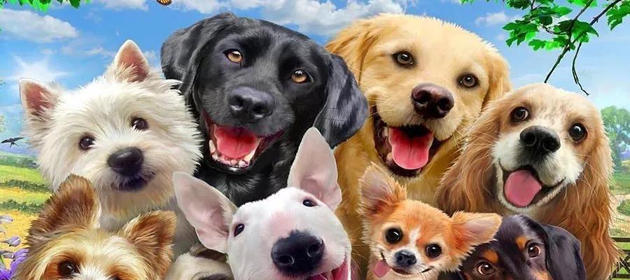 探秘狗狗俱乐部的神奇世界（与狗共享快乐，共度美好时光）