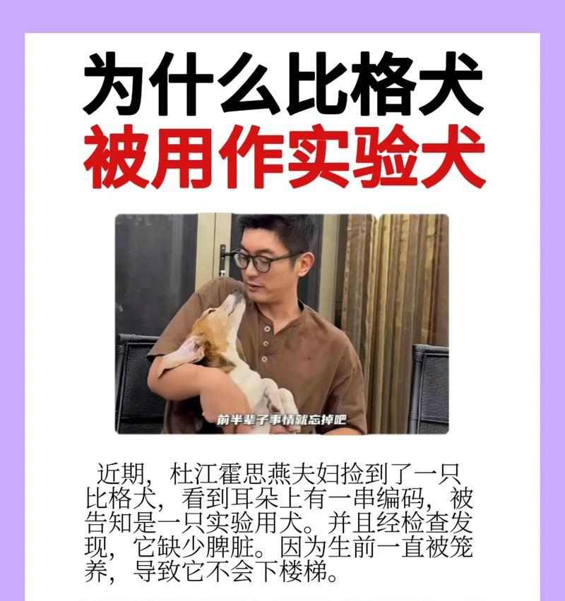 文章详情图片