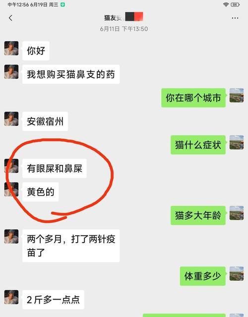 猫流眼屎的原因及应对方法（揭秘猫咪流眼屎的秘密，教你有效解决眼屎问题）