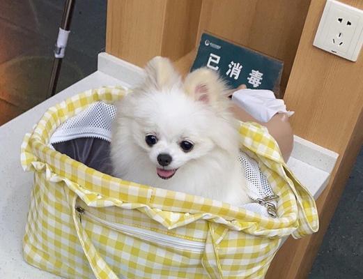 文章详情图片