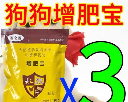 狗粮选择与体重增加的关系（探讨狗粮对犬只体重的影响及预防措施）