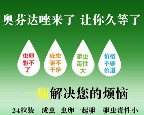 狗狗的驱虫方法（保持狗狗健康的关键）