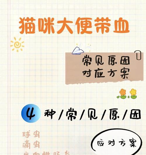 猫的粪便稀的原因解析（揭秘导致猫粪便稀的几个常见原因）
