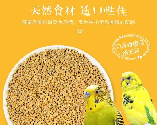 以刚出生的虎皮鹦鹉吃什么（宝宝虎皮鹦鹉食谱大揭秘）