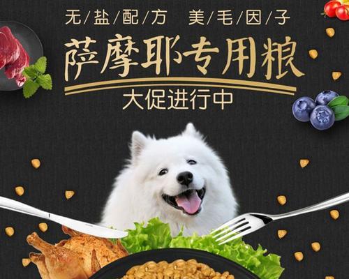 狗狗如何防止长白毛？（营养均衡饮食是关键！）