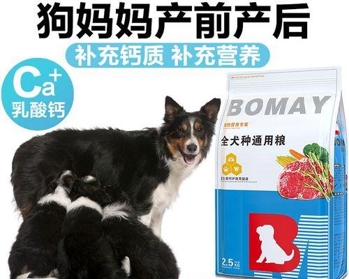 狗狗怀孕期饮食指南（营养均衡是关键，了解适宜食物助宠物健康成长）