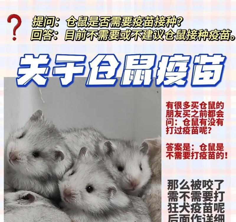 仓鼠为什么咬人？（探究仓鼠咬人的原因及预防方法）