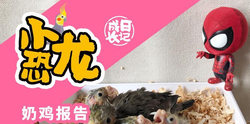 狗崽奶粉（为您揭秘狗崽奶粉的正确喂养时间和用量）