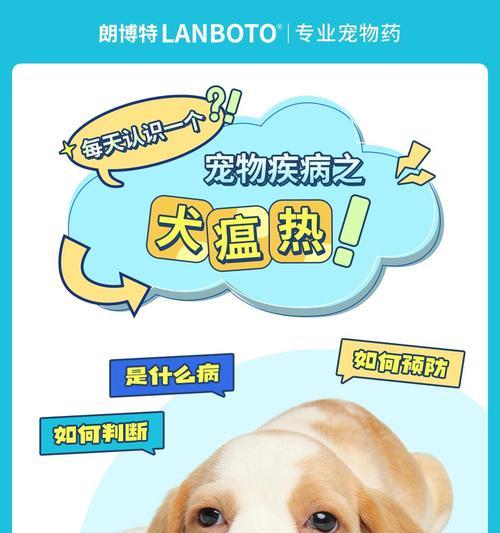 狗瘟病的治疗药物（有效药物推荐，帮助狗瘟患者恢复健康）