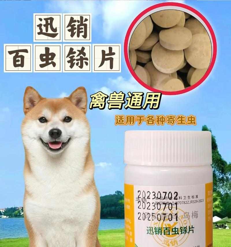 狗身上的寄生虫——潜伏在可爱外表背后的隐患（揭秘它们的种类、危害及预防措施）