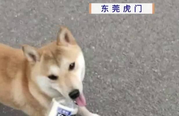 文章详情图片