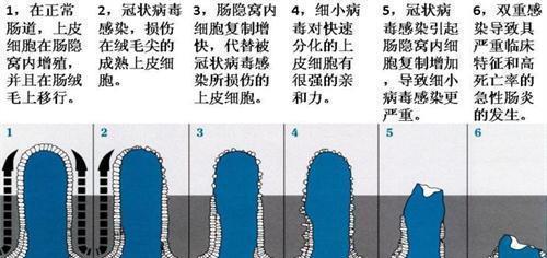 文章详情图片