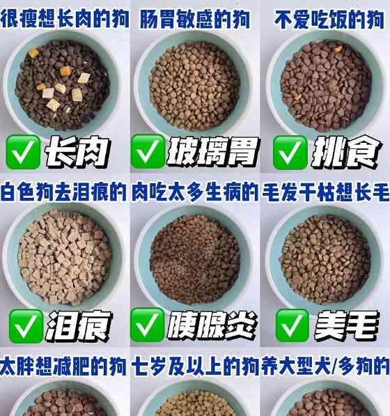 文章详情图片