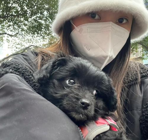 文章详情图片