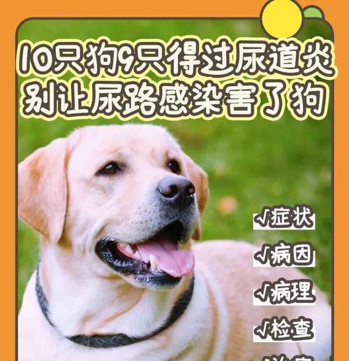 文章详情图片