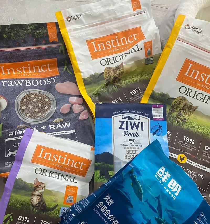 小猫什么时候可以吃猫粮？（适合小猫吃猫粮的关键时期及食谱推荐）