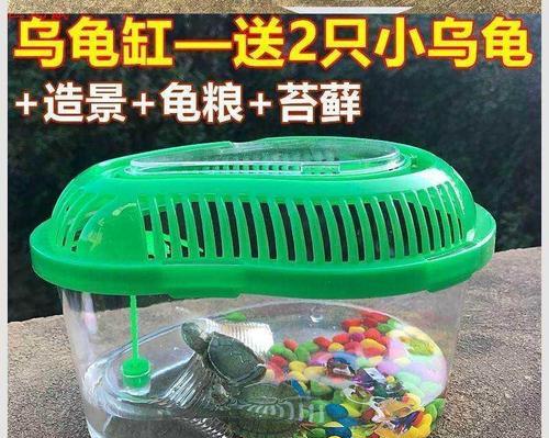 小女孩适合养什么宠物？（选择合适的宠物对小女孩的成长十分重要）