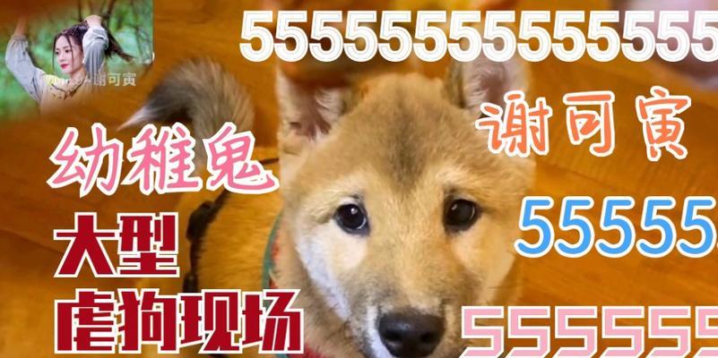 探寻狗呜呜呜的含义（狗呜呜呜是怎样的一种表达方式）