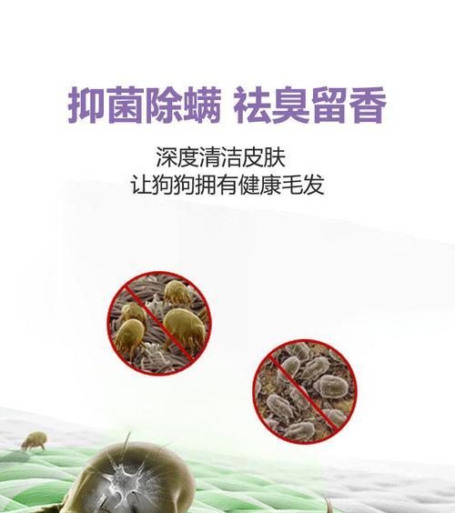 如何选择适合泰迪的护毛素（泰迪护毛素的选择关键）