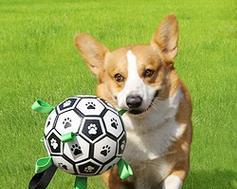 狗狗玩具的好处（让宠物更快乐、健康和聪明）