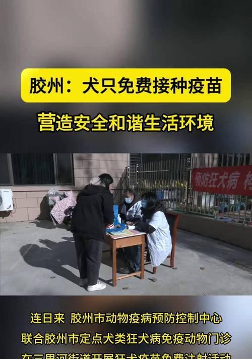 文章详情图片
