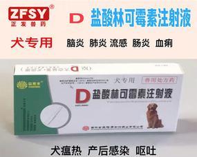 狗狗吃多了呕吐怎么办？一种药物解决问题！（救急！治疗狗狗呕吐的利器即将揭晓！）