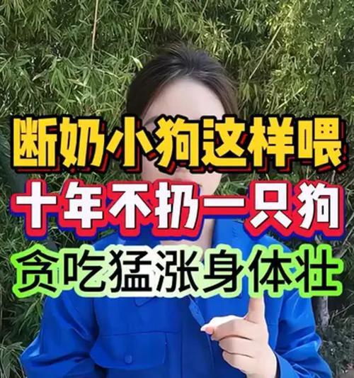 小狗断奶时间和注意事项（养宠爱犬，知晓正确的小狗断奶时间和方法）