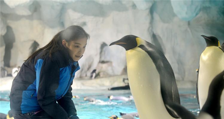 探秘帝企鹅眼中的黑暗之谜