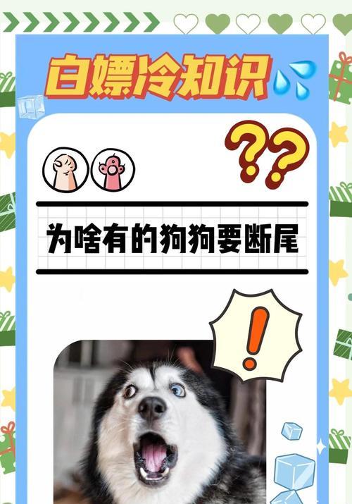 狗狗断尾的常用方法及优劣比较（选择适合狗狗的断尾方法，关爱它的健康成长）