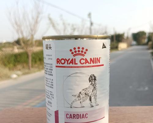 以泰迪处方粮能吃多久？（探究以泰迪处方粮的食用时长和效果如何）