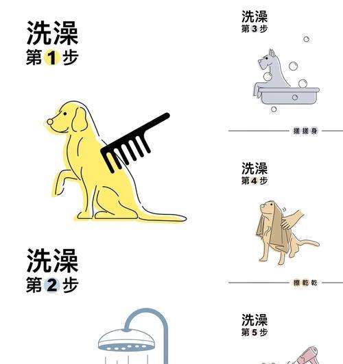 如何辨别新生小狗的性别（简单技巧帮你分辨母狗和公狗）