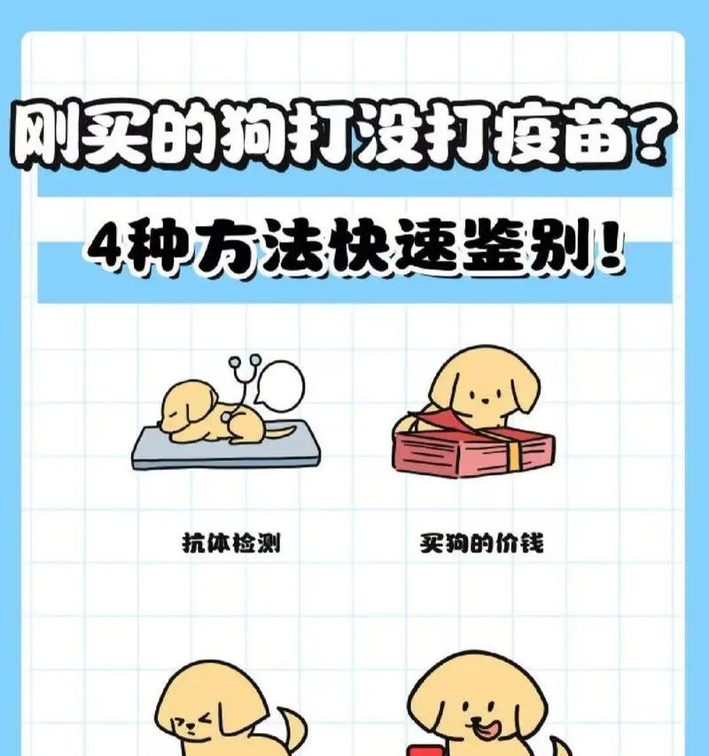 新买狗狗多久可以打疫苗？（宠物狗疫苗接种时间及重要性）