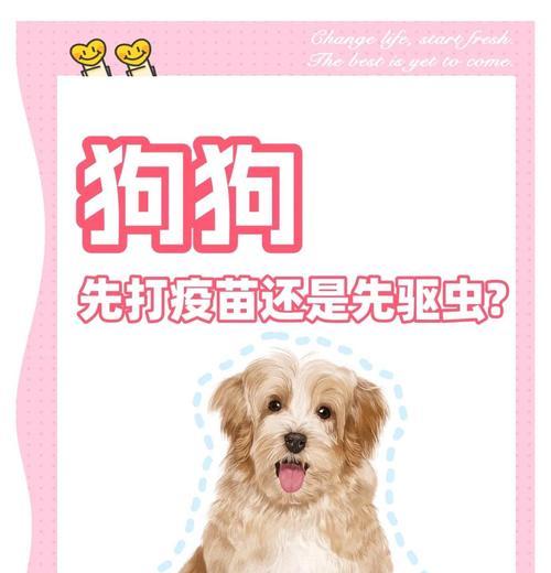 驱虫后何时可以打疫苗（了解驱虫和疫苗的关系以及最佳时间）