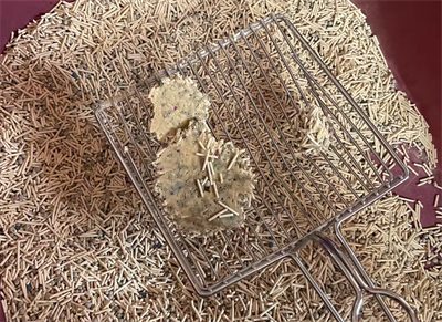 江小傲混合猫砂粘底吗