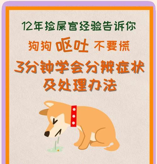 狗狗呕吐的原因及处理方法（一份详尽呕吐情况大全，让你轻松解决狗狗的呕吐问题）