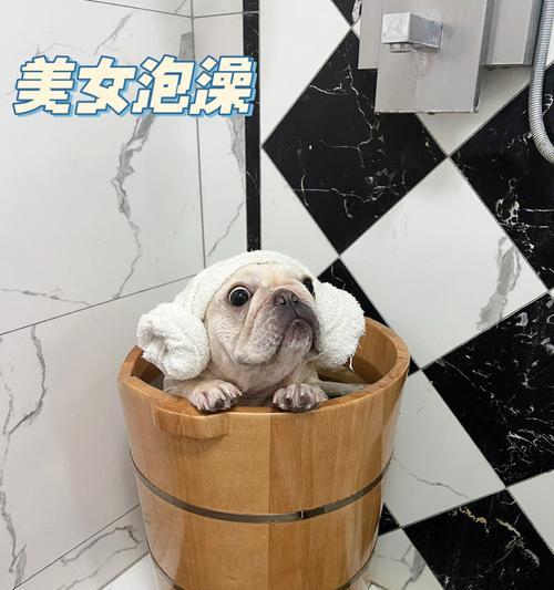 宠物药浴180一瓶（探索宠物药浴180的效果和用途，为你的宠物提供全方位的护理）