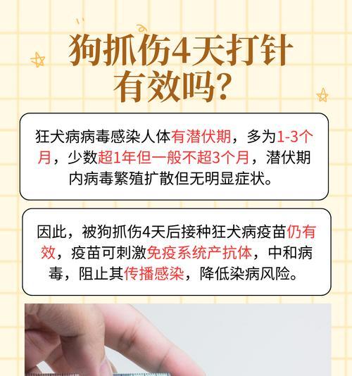 狗狗打狂犬疫苗的重要性（了解狂犬疫苗接种时间，守护宠物健康）