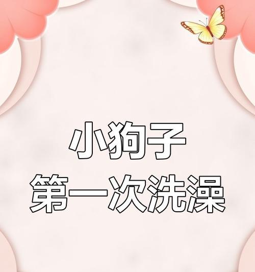 金毛犬产后多久可以洗澡？（产后护理与清洁的关键）