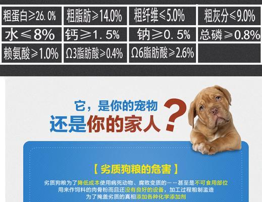 金毛犬的美毛食谱及喂养技巧（让你的金毛拥有健康亮丽的毛发，关键是科学合理的饮食）