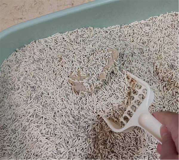 福丸猫砂结团 福丸猫砂结团