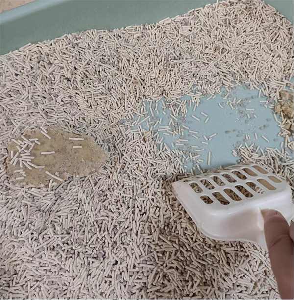 福丸猫砂粘底 福丸猫砂粘底