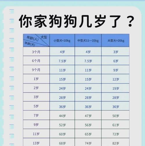 40天的狗睡眠时间（了解幼犬的睡眠需求，帮助它们成长）