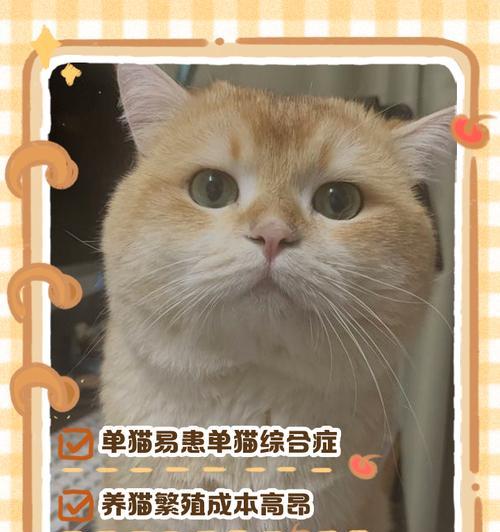 猫咪的生育周期及繁殖能力（探究猫咪的生育周期与繁殖能力，解答多久能生和繁殖能力的关键）