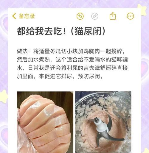 猫咪的健康饮食——鸡胸脯的喂养频率（为了宠物的身体健康，掌握鸡胸脯喂养的正确时机！）