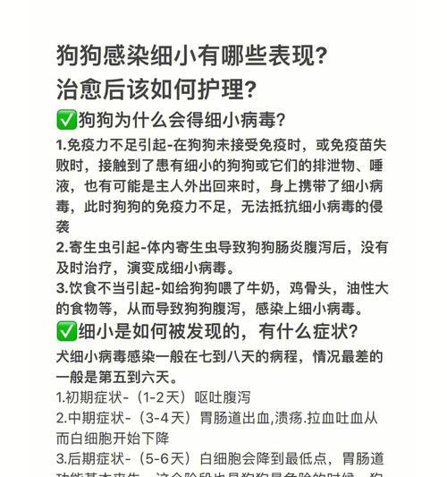 细小病毒感染后疫苗接种时间预估（以细小好了后大概多久可以打疫苗？）